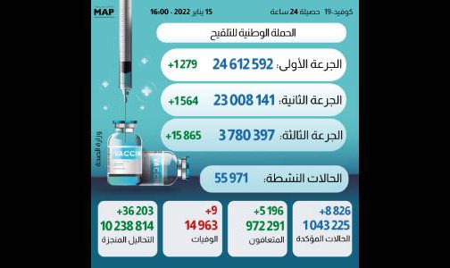 bilan-15-504×300