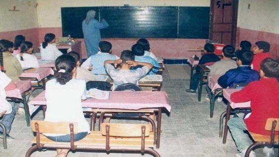 اليوم العالمي للتعليم: المبادرة الوطنية للتنمية البشرية فاعل منخرط في التحول التربوي