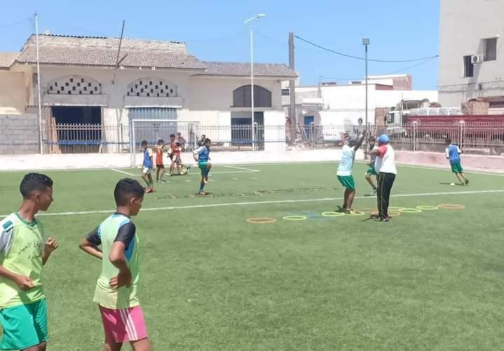 كرة قدم الأحياء