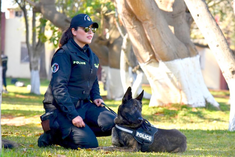 كلاب بوليسية