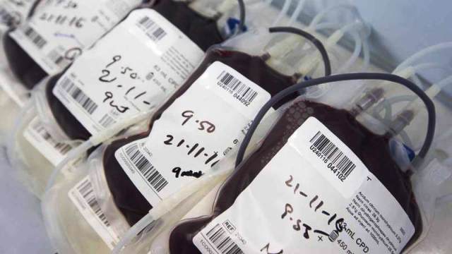 بنك دم احتياطي