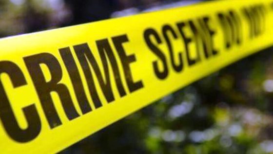 اتهام ابن وزيرة بجريمة قتل اثنين من زملائه في العمل