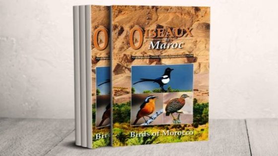 استغرق إنجازه 4 سنوات.. كتاب جديد حول طيور المغرب