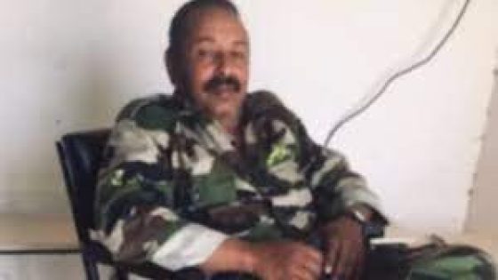 مقتل قائد بجبهة البوليساريو إثر قصف بطائرة مغربية