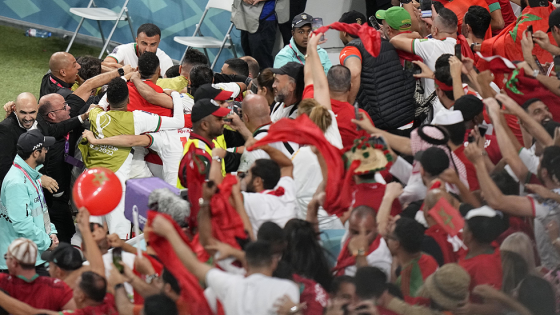 الأسود يفجرون احتفالات صاخبة في كل ربوع المملكة