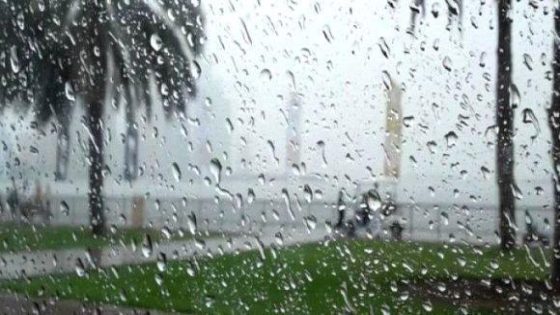نشرة انذارية..أمطار محليا قوية وأحيانا رعدية من الخميس إلى السبت بعدد من مناطق المملكة