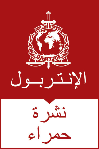 Red Notice AR LR (1)