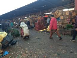 images – 2025-07-04T195435.493